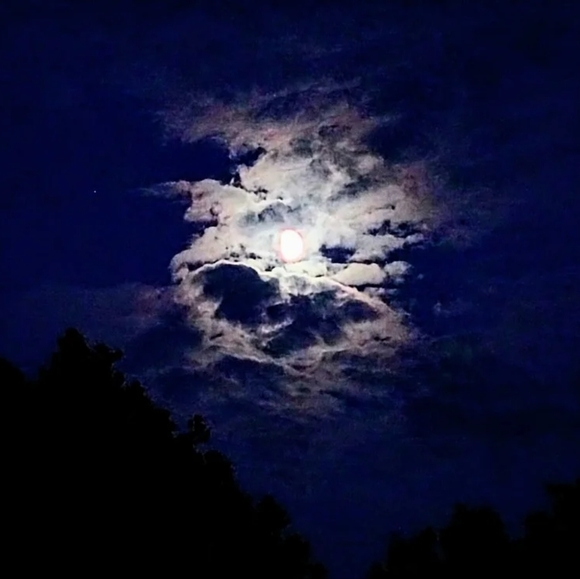 Meet your Posher, Ian - Picture 4 of 5